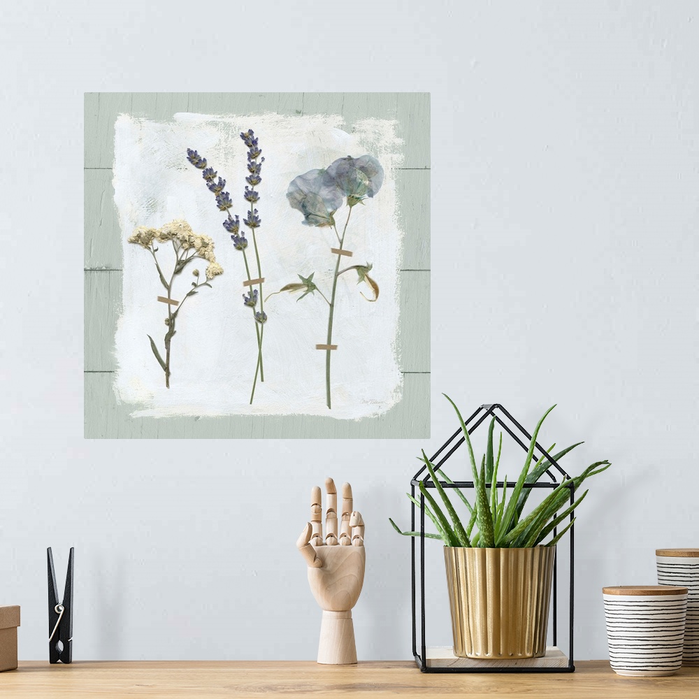 A bohemian room featuring Square decor with three dried flowers pressed onto a painted white square with a pale blue shipla...