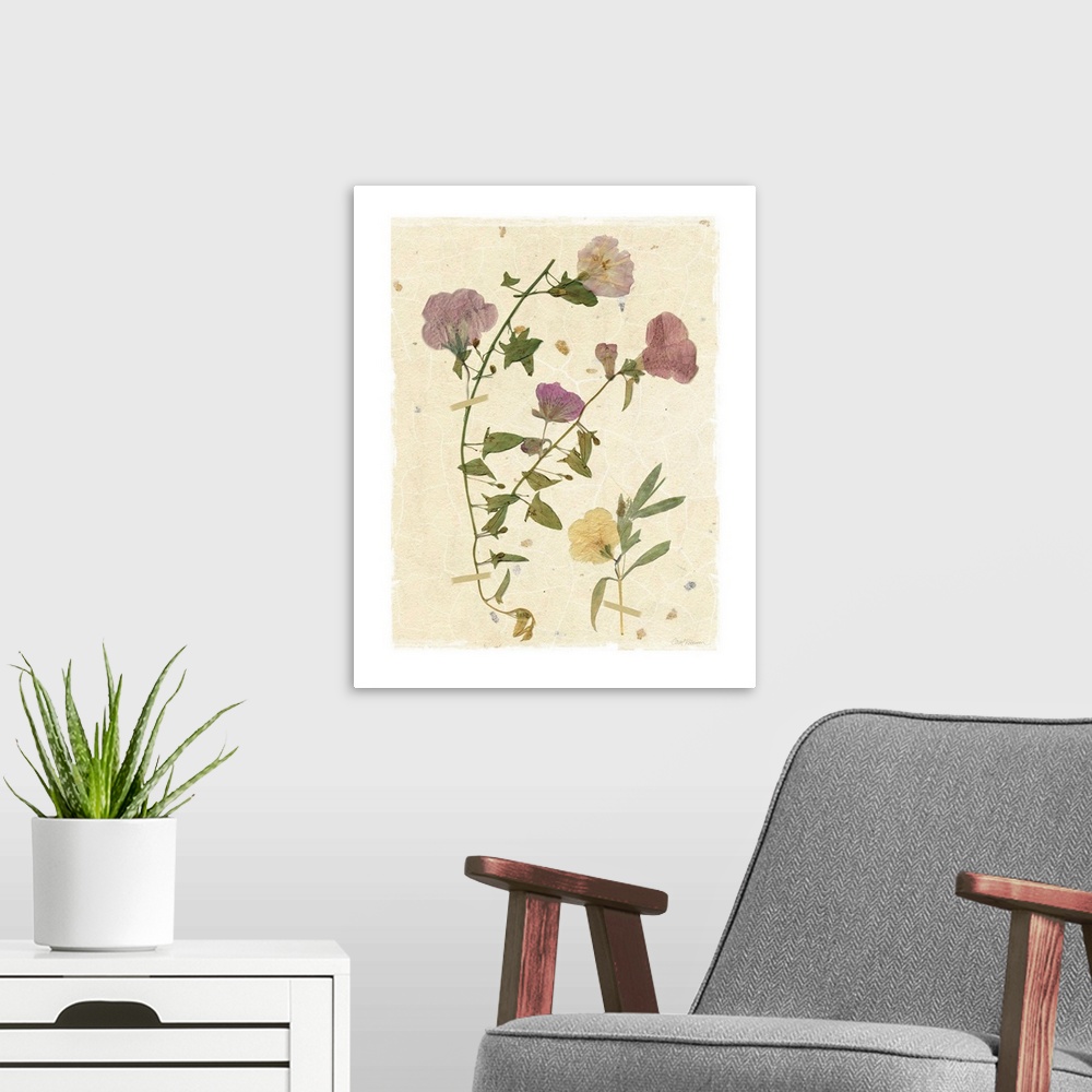 A modern room featuring Scan of pressed morning glory flowers on a textured beige background with a white boarder.