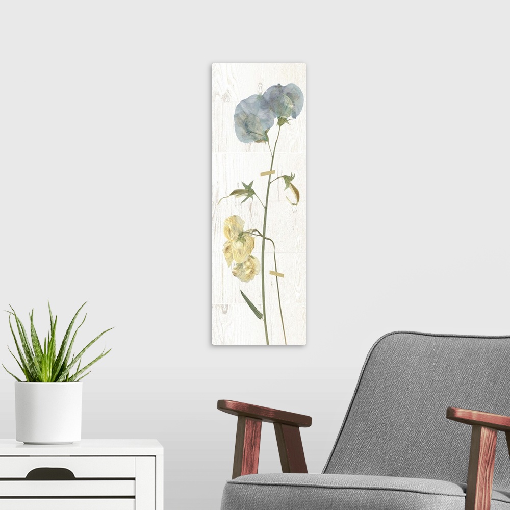 A modern room featuring Panel decor with dried sweetpea flowers pressed onto a painted white rectangle on a marble-like b...