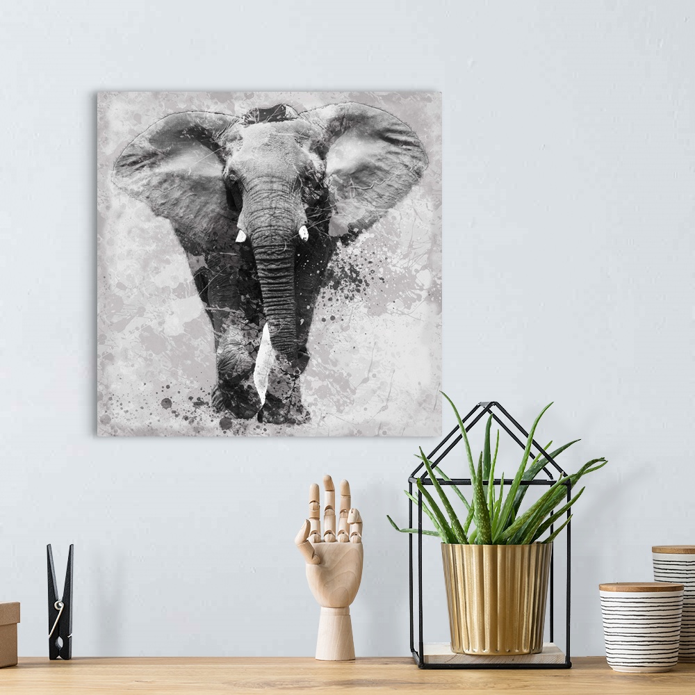 A bohemian room featuring Contemporary artwork of an elephant against a textured looking background with an overall grungy ...