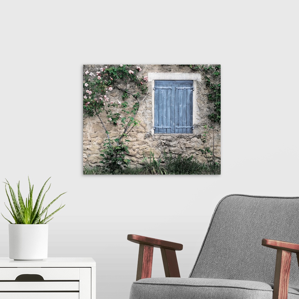 A modern room featuring Photograph of a window with blue shutters on a house with roses on the brick wall.