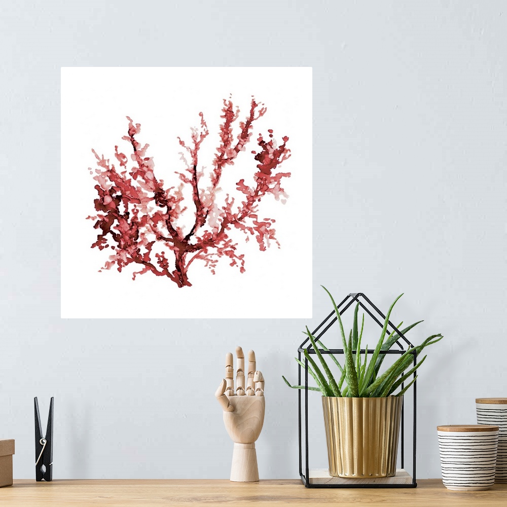 A bohemian room featuring Square watercolor painting of red coral on a solid white background.