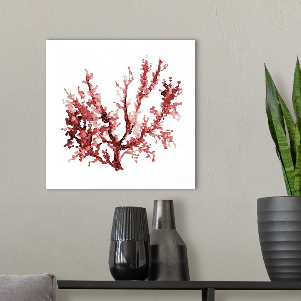 A modern room featuring Square watercolor painting of red coral on a solid white background.