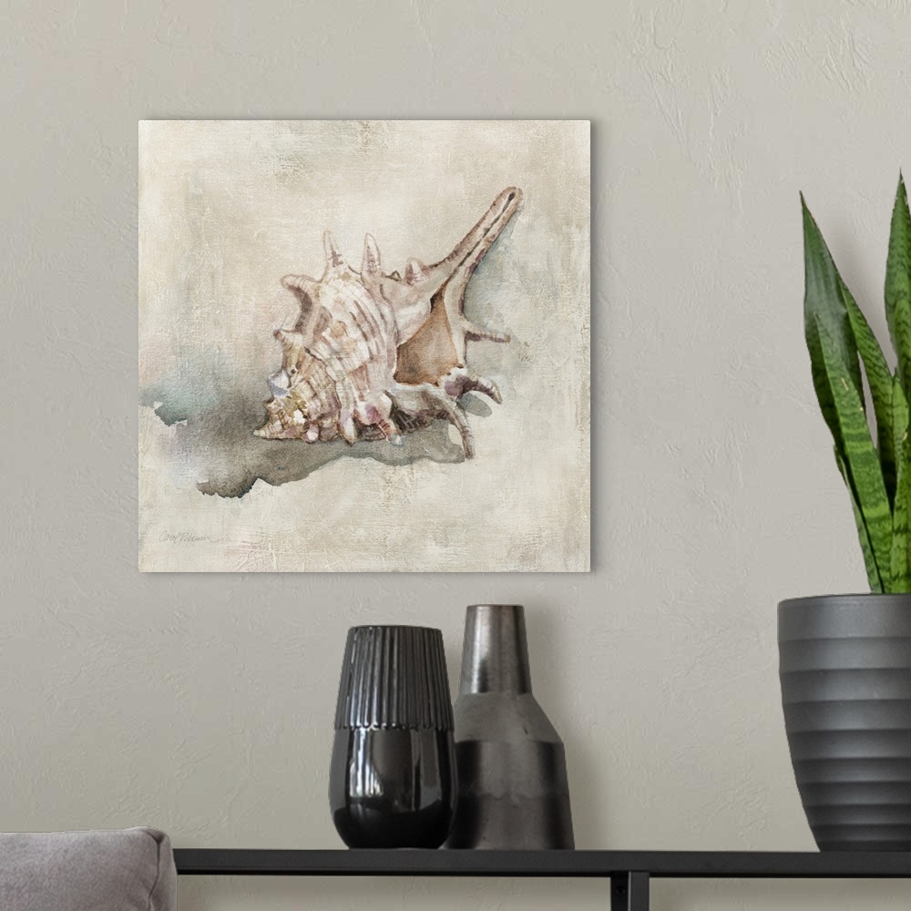 A modern room featuring Seashell Textures I