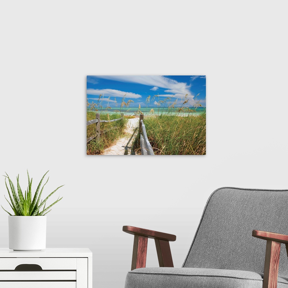 A modern room featuring Photograph of a sandy path lined with a wooden fence and beach grass leading to a sandy beach wit...