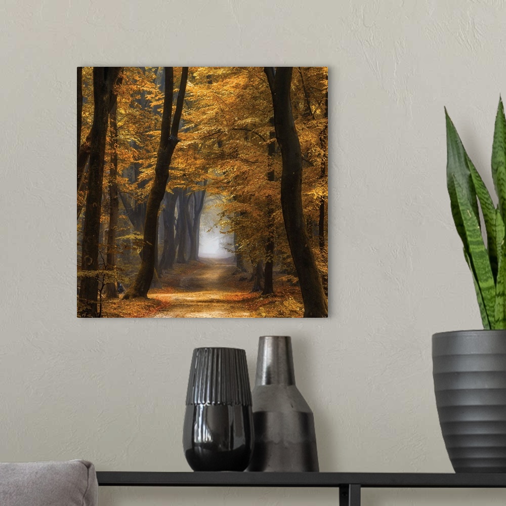 A modern room featuring Square photograph of an Autumn forest landscape with golden trees and a foggy pathway running thr...