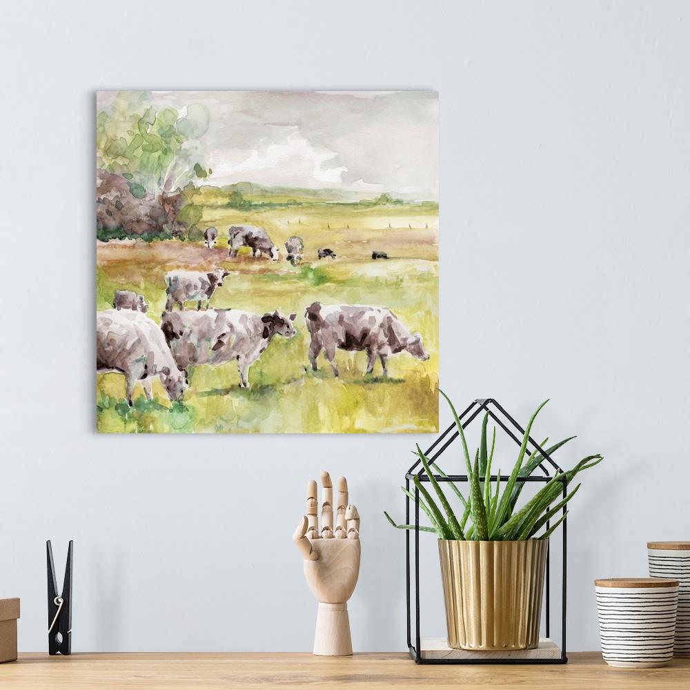 A bohemian room featuring Spring Herd