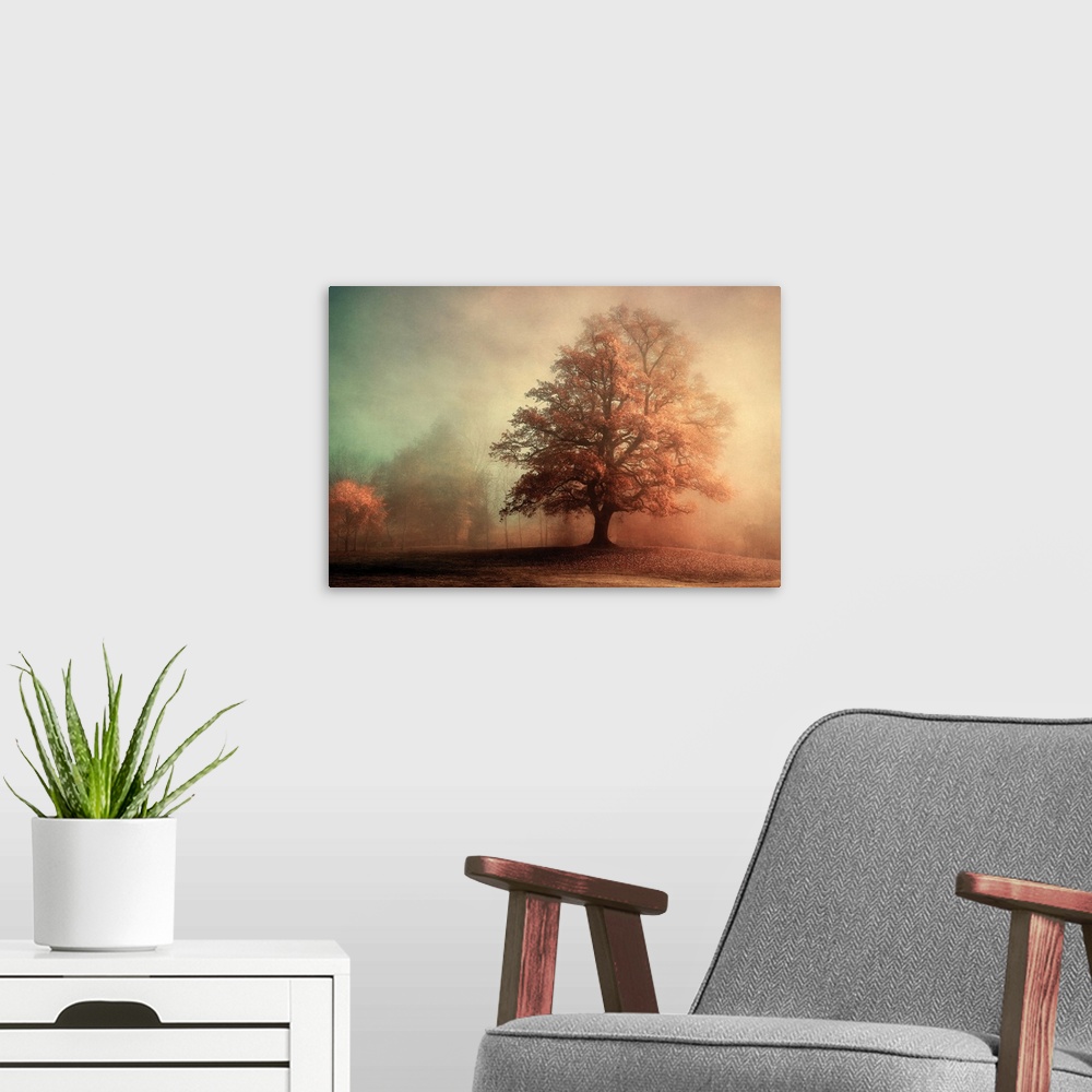A modern room featuring Photograph of a large Autumn tree with red leaves and sunshine lighting up the side with a foggy ...