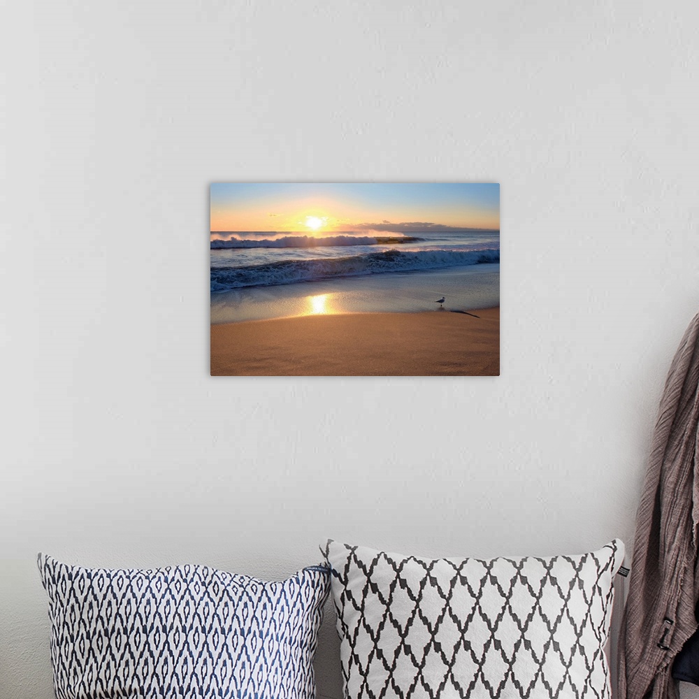 A bohemian room featuring Sunset Seagull