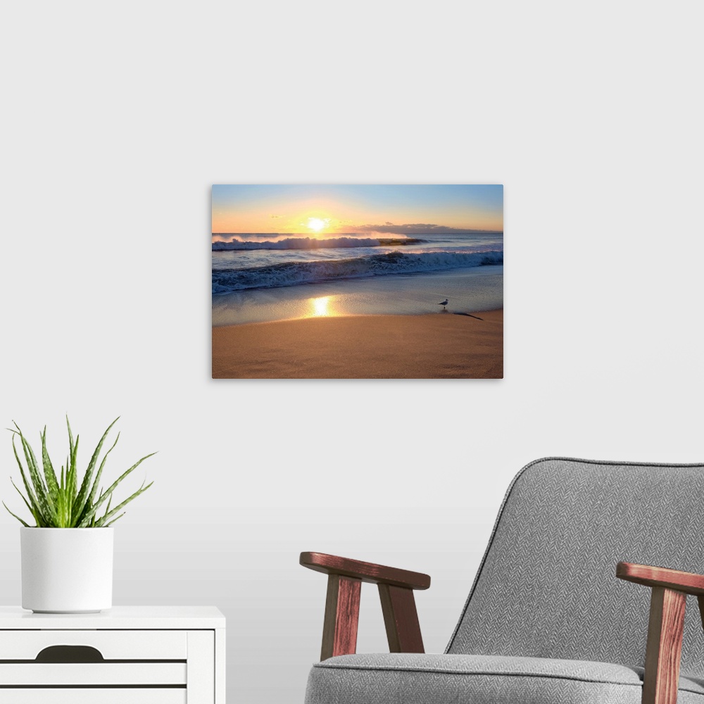 A modern room featuring Sunset Seagull