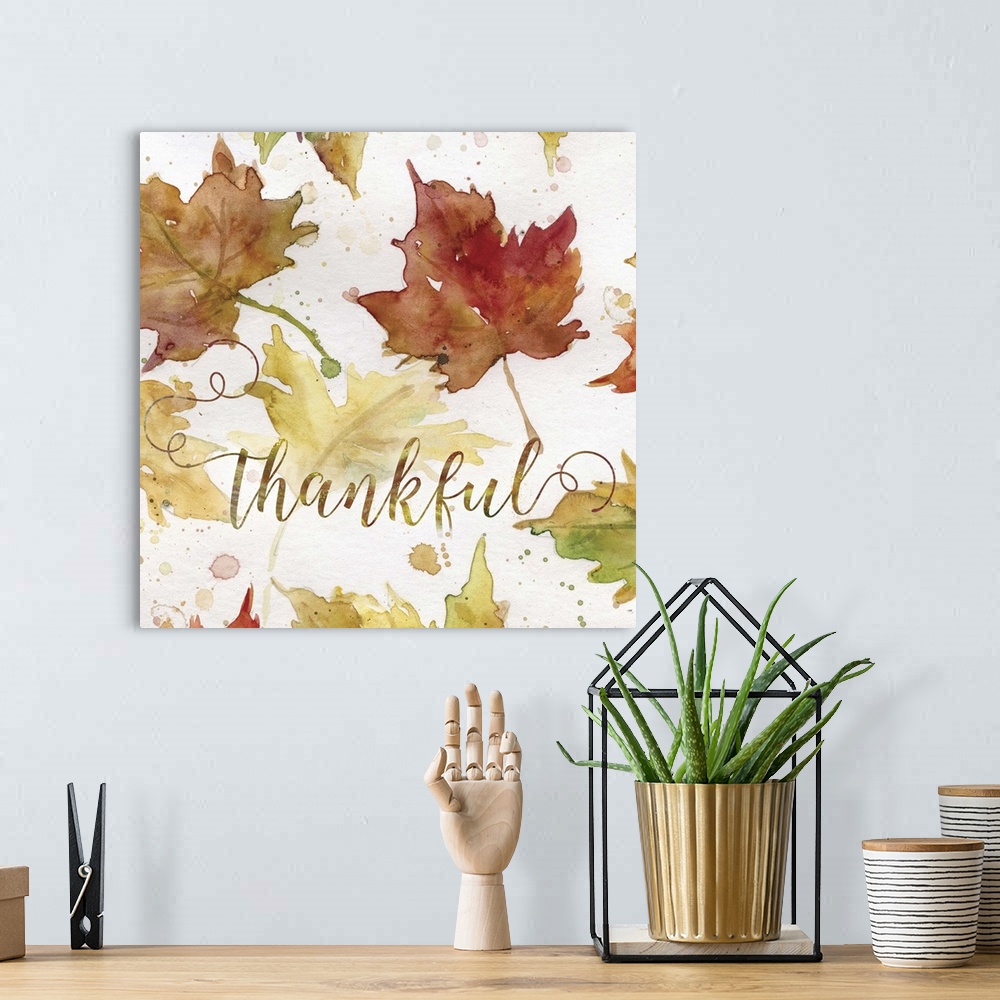 A bohemian room featuring Thankful Harvest