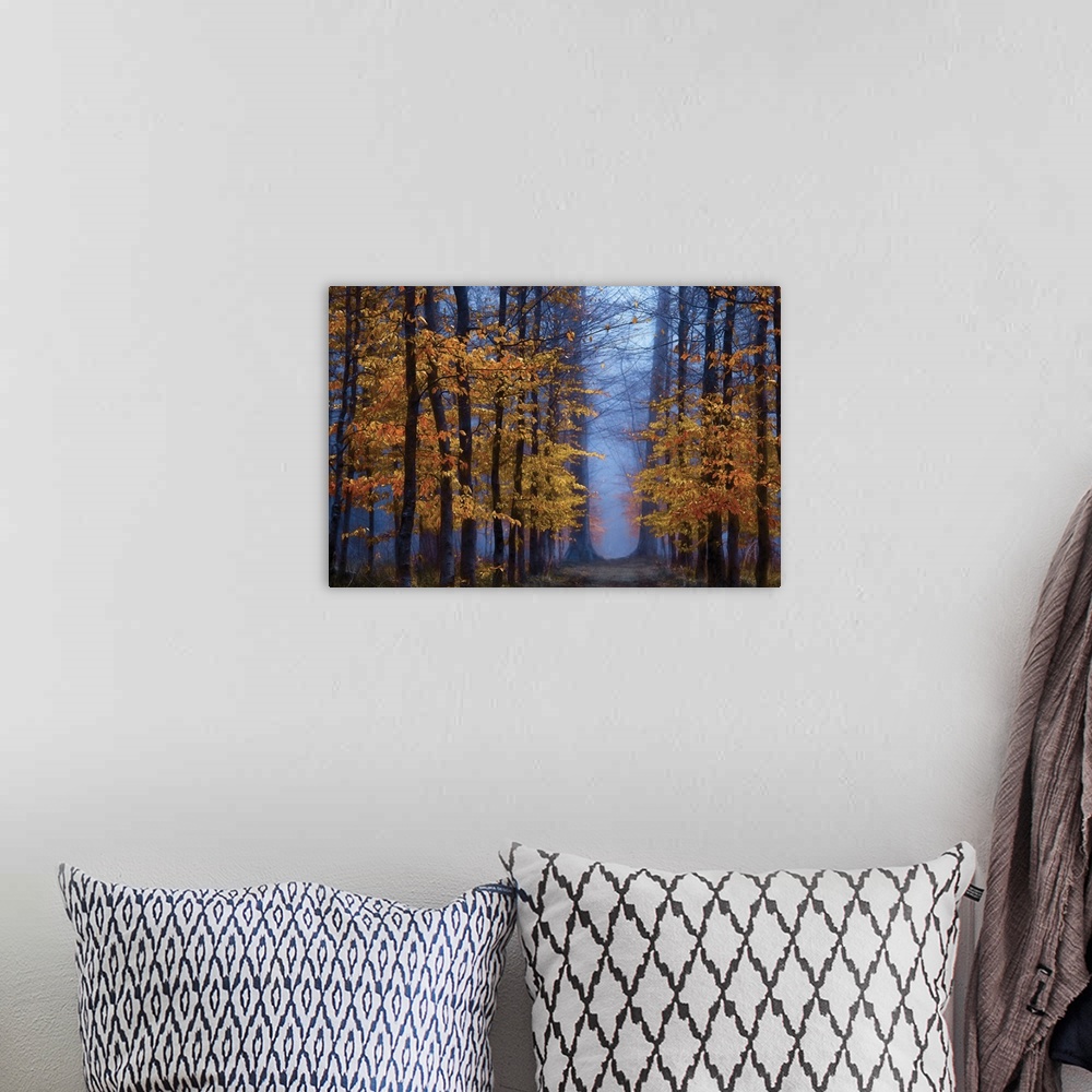 A bohemian room featuring Deep blue light in a forest of trees with bright orange leaves.