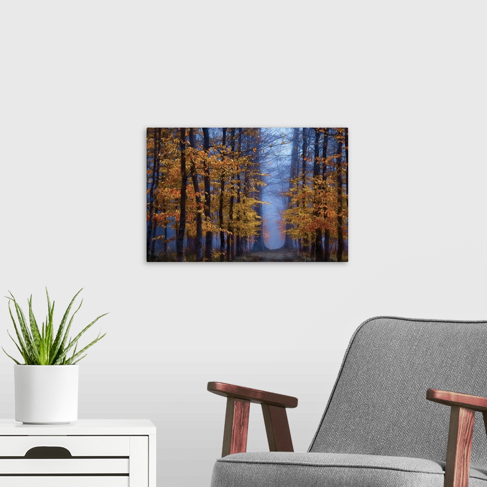 A modern room featuring Deep blue light in a forest of trees with bright orange leaves.