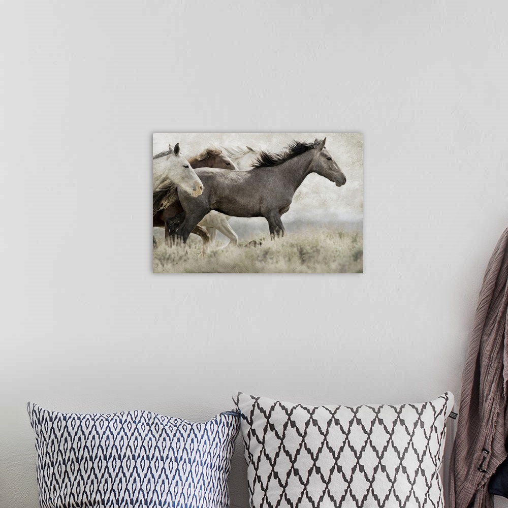 A bohemian room featuring USA, Wyoming, Carbon County. Wild horses running.
