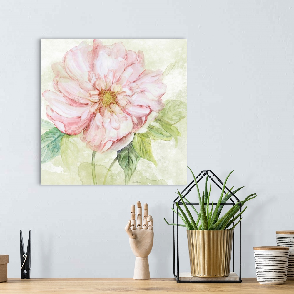 A bohemian room featuring Translucent Peony