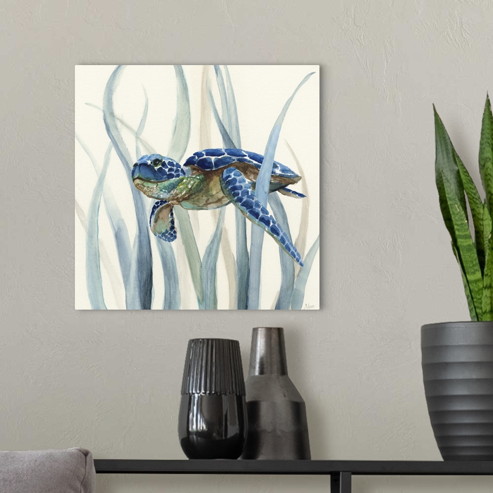 A modern room featuring Square watercolor painting of an indigo, green, and brown sea turtle underwater in swimming throu...