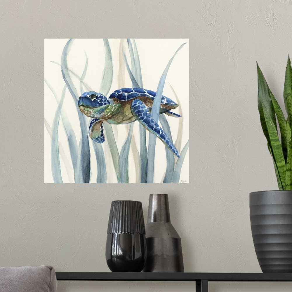 A modern room featuring Square watercolor painting of an indigo, green, and brown sea turtle underwater in swimming throu...