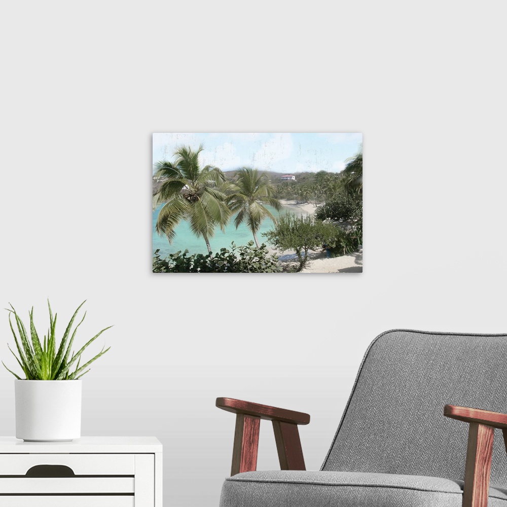 A modern room featuring A photo of a tropical beach scene with a charming blue sea peeking through palm trees with a dist...