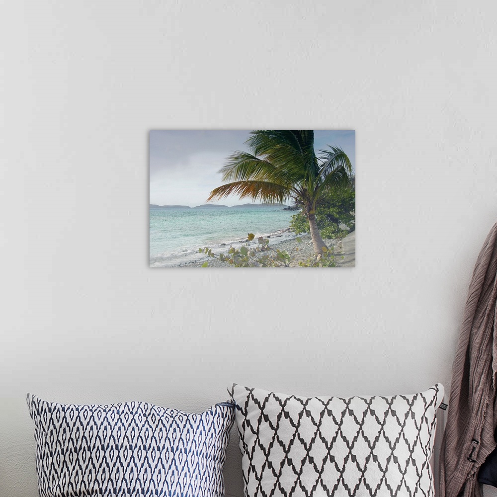 A bohemian room featuring A balmy day with a palm tree on a tropical beach blowing in the wind.