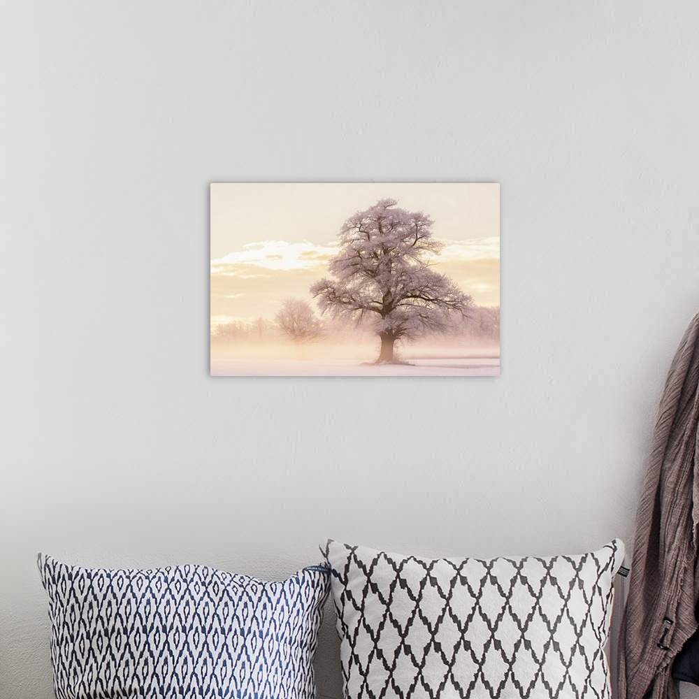A bohemian room featuring Large photograph of a foggy Winter landscape with snow covered trees and warm light from the sunr...