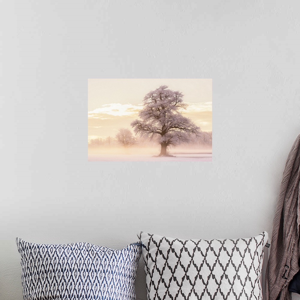 A bohemian room featuring Large photograph of a foggy Winter landscape with snow covered trees and warm light from the sunr...
