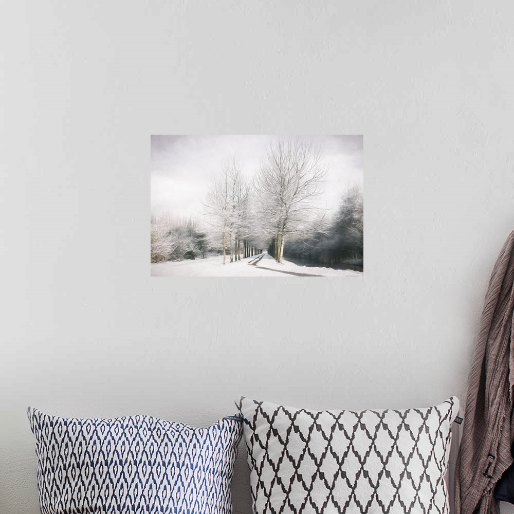 A bohemian room featuring This snowy scene exhibits painted trees lining a path with weaving branches against a cloudy gray...