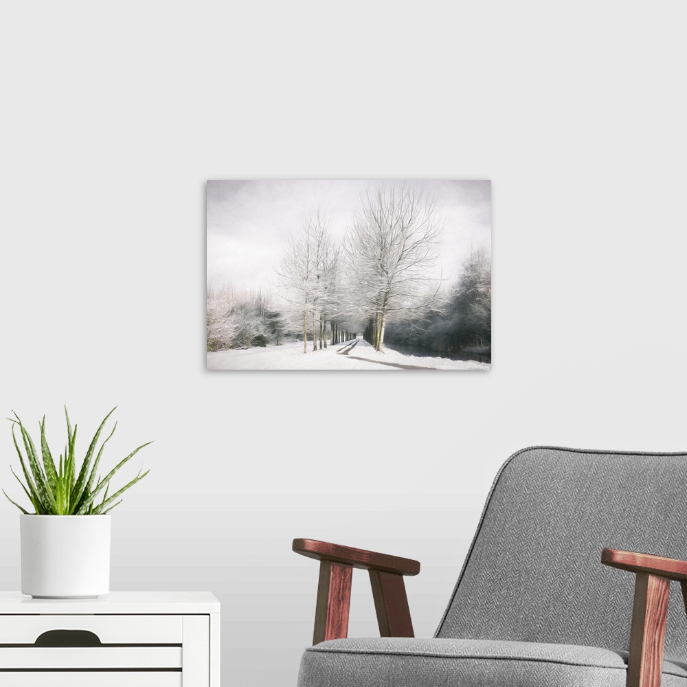 A modern room featuring This snowy scene exhibits painted trees lining a path with weaving branches against a cloudy gray...