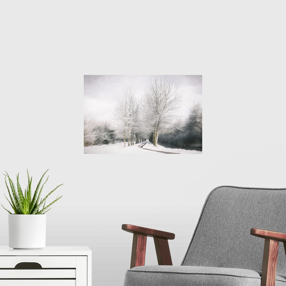 A modern room featuring This snowy scene exhibits painted trees lining a path with weaving branches against a cloudy gray...