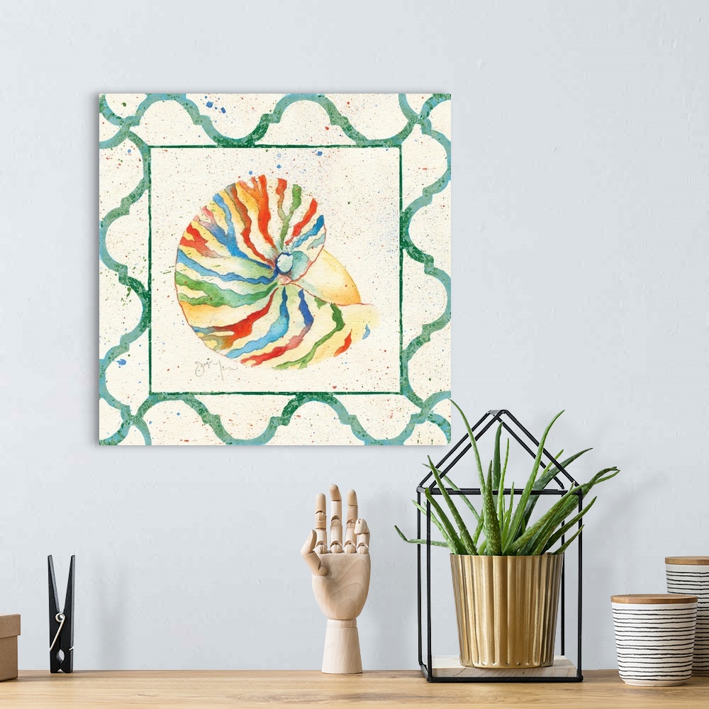 A bohemian room featuring A nautilus shell with rainbow stripes and a green border.
