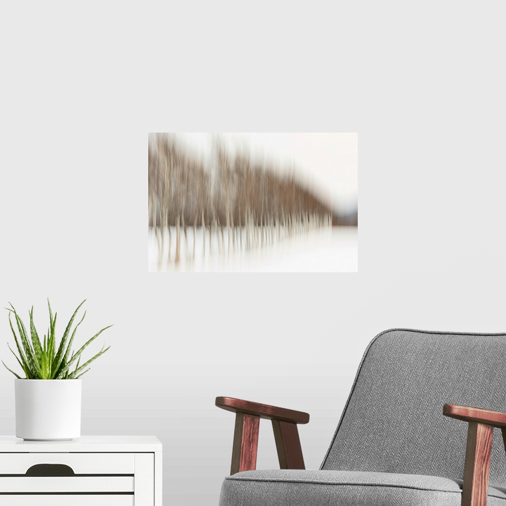 A modern room featuring Abstract blur of birch trees in rural Japan