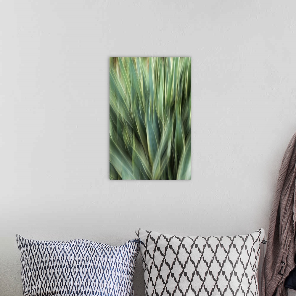 A bohemian room featuring Agave Abstract