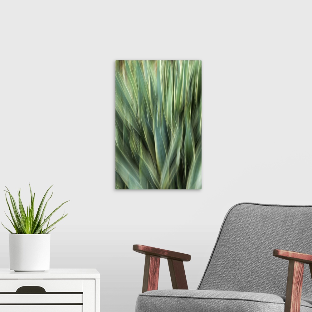 A modern room featuring Agave Abstract