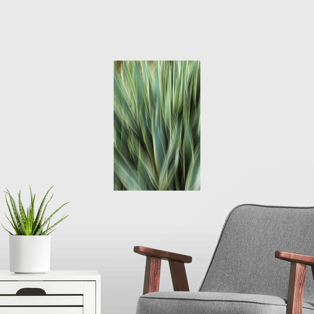 A modern room featuring Agave Abstract