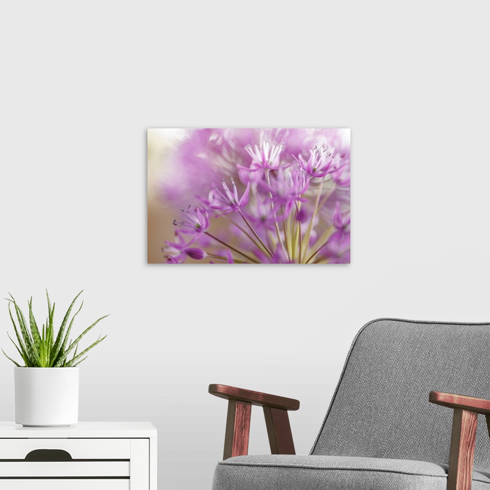 A modern room featuring Allium Blossoms II