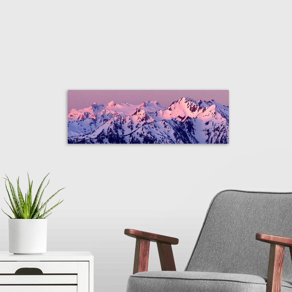 A modern room featuring Panoramic photograph of pink alpenglow on top of Mount Olympus, Washington.