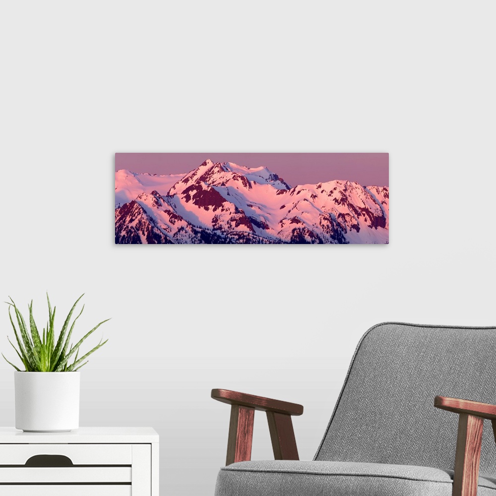A modern room featuring Panoramic photograph of pink alpenglow on top of Mount Olympus, Washington.
