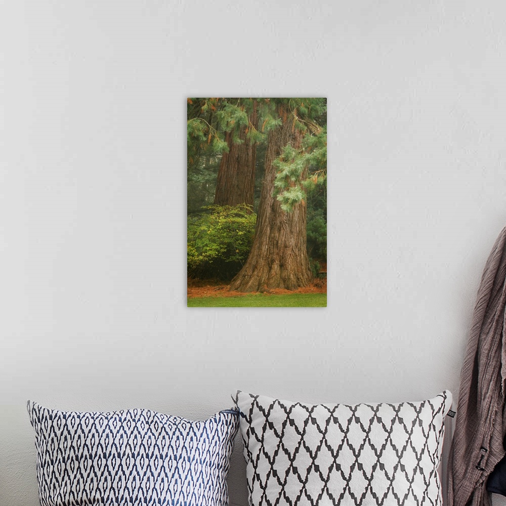 A bohemian room featuring Ancient Forest I