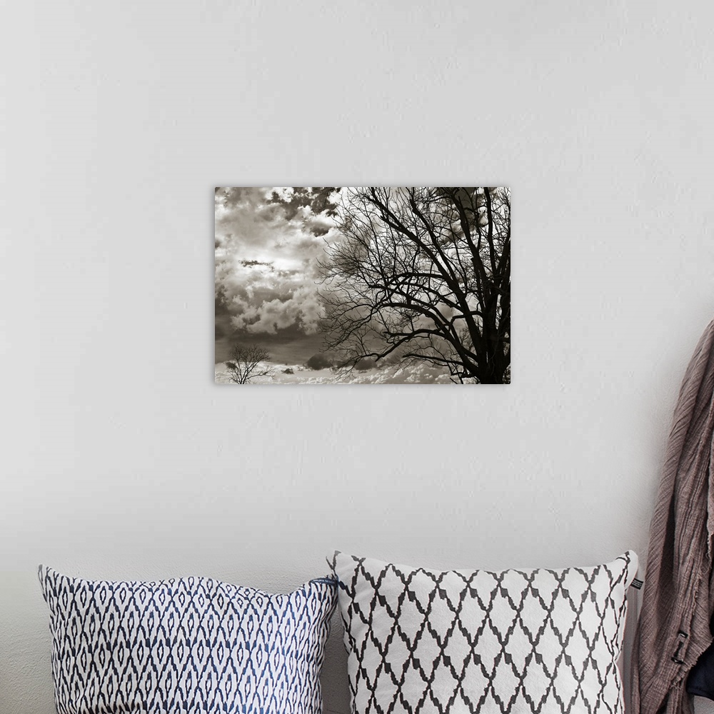 A bohemian room featuring This is a monochromatic, landscape photograph of a cloudy sky and the silhouette of a tree agains...