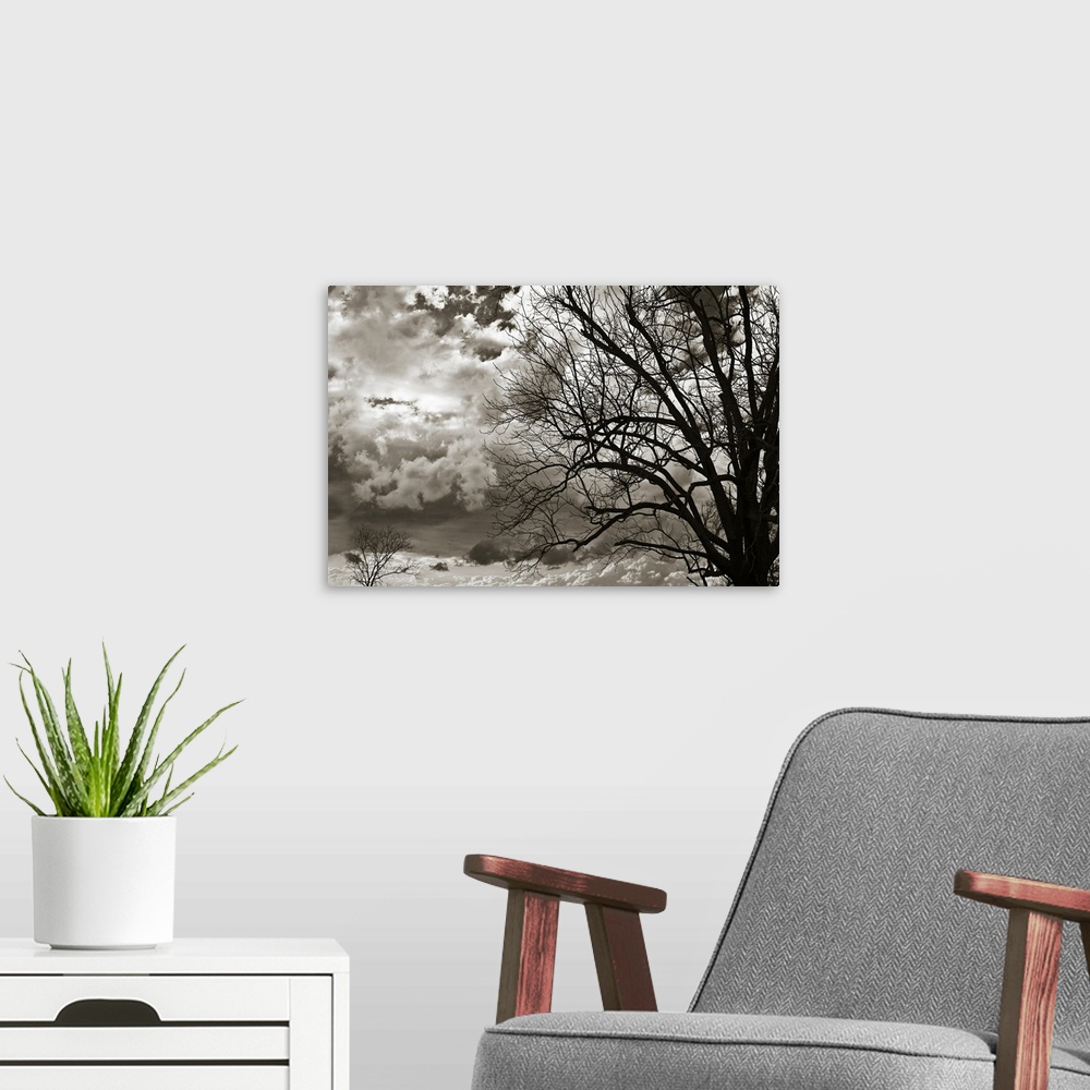 A modern room featuring This is a monochromatic, landscape photograph of a cloudy sky and the silhouette of a tree agains...