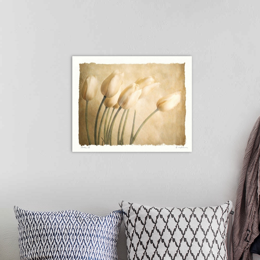 A bohemian room featuring This contemporary artwork shows several tulips in front of a neutral backdrop. The art has a wate...