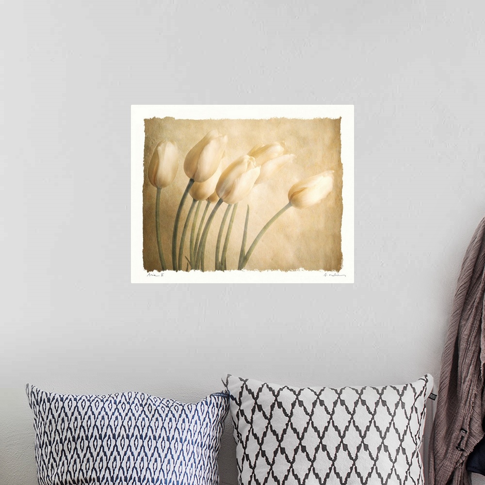 A bohemian room featuring This contemporary artwork shows several tulips in front of a neutral backdrop. The art has a wate...