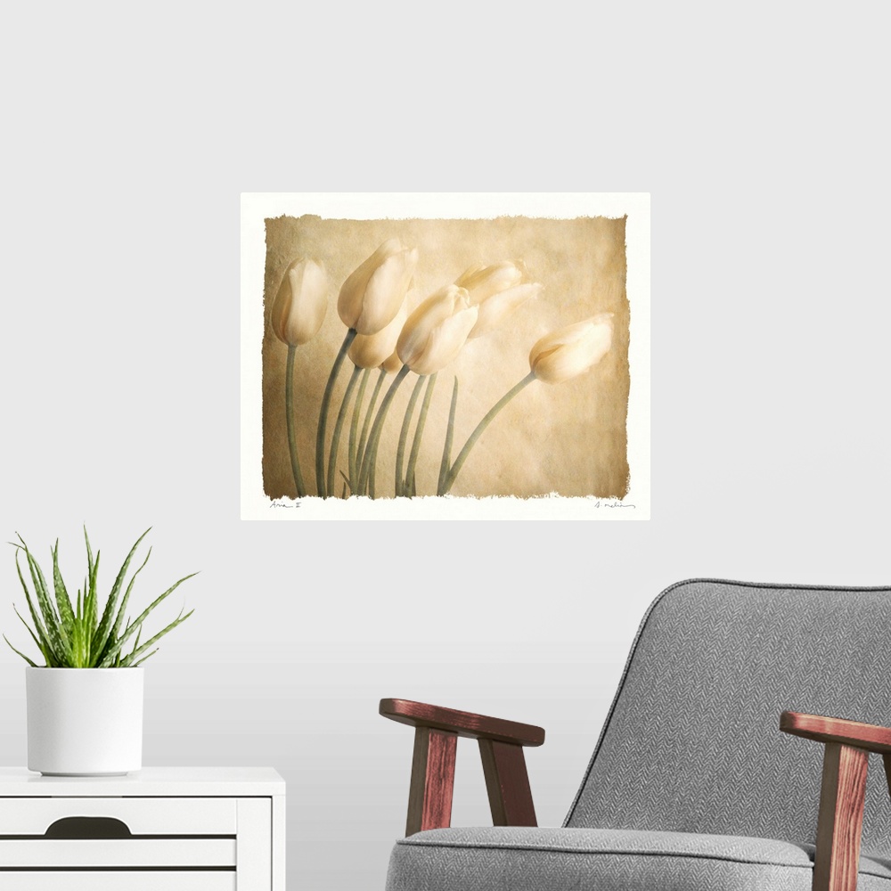 A modern room featuring This contemporary artwork shows several tulips in front of a neutral backdrop. The art has a wate...