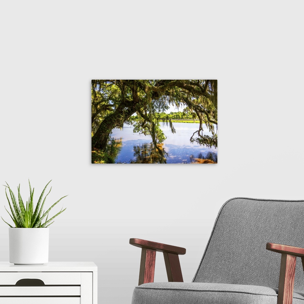 A modern room featuring Landscape photograph of a Water Oak tree covered in Spanish Moss leaning over the bank of the Ash...