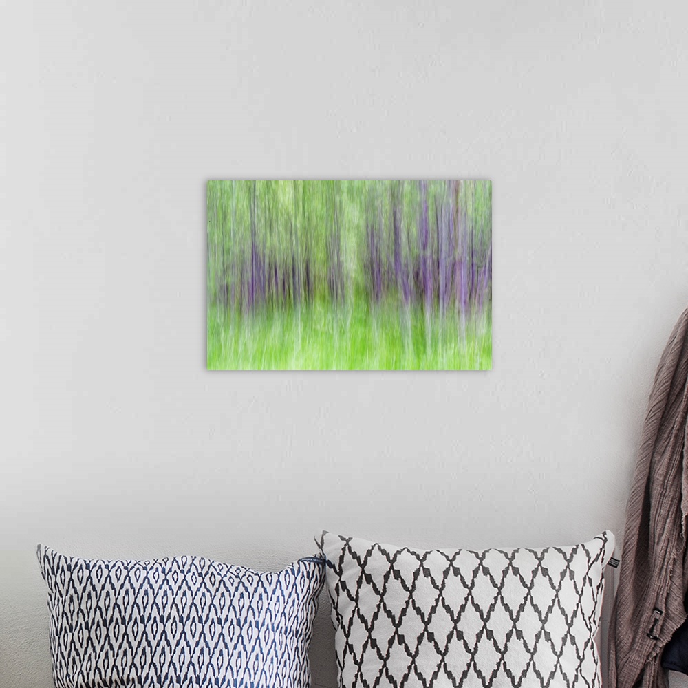 A bohemian room featuring Blurred photo of aspen trees in a forest, creating an abstract image.