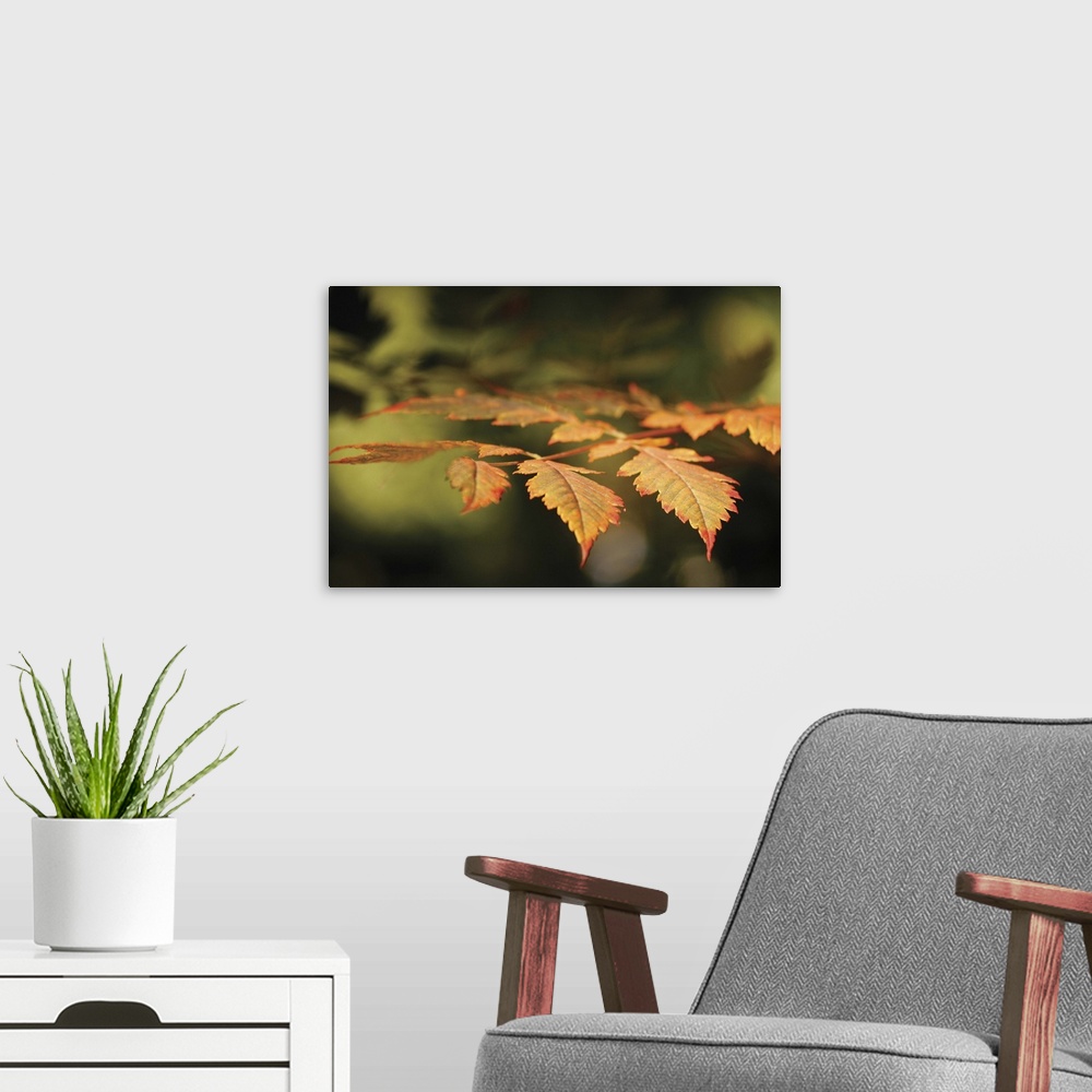 A modern room featuring Autumn Fire Leaves II