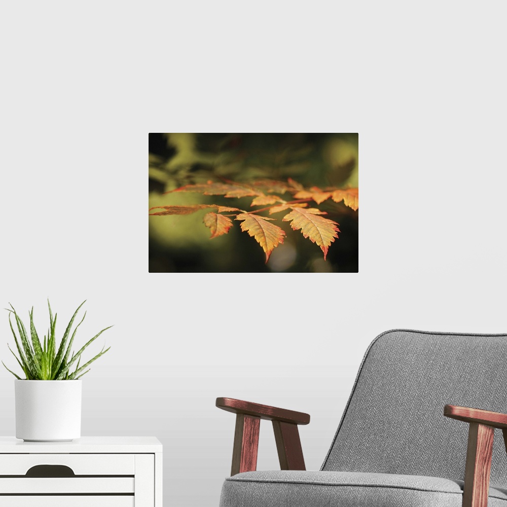 A modern room featuring Autumn Fire Leaves II
