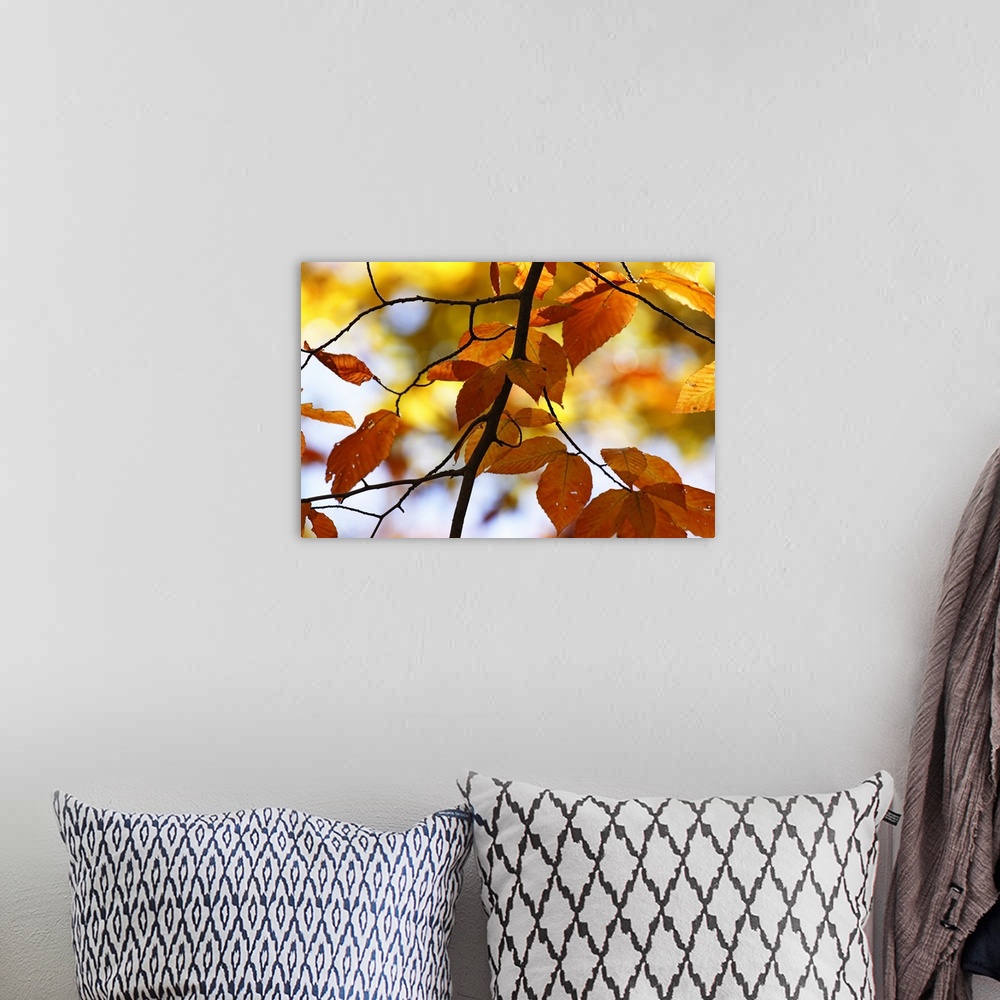 A bohemian room featuring Autumn Leaves 4