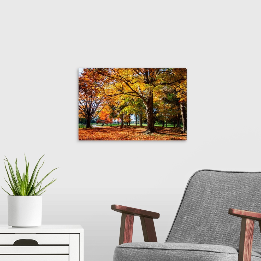 A modern room featuring Autumn on the Plantation -1