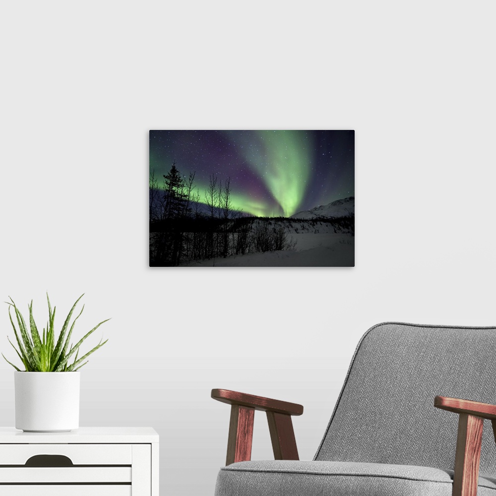 A modern room featuring Band of Northern Lights in the Brooks Range