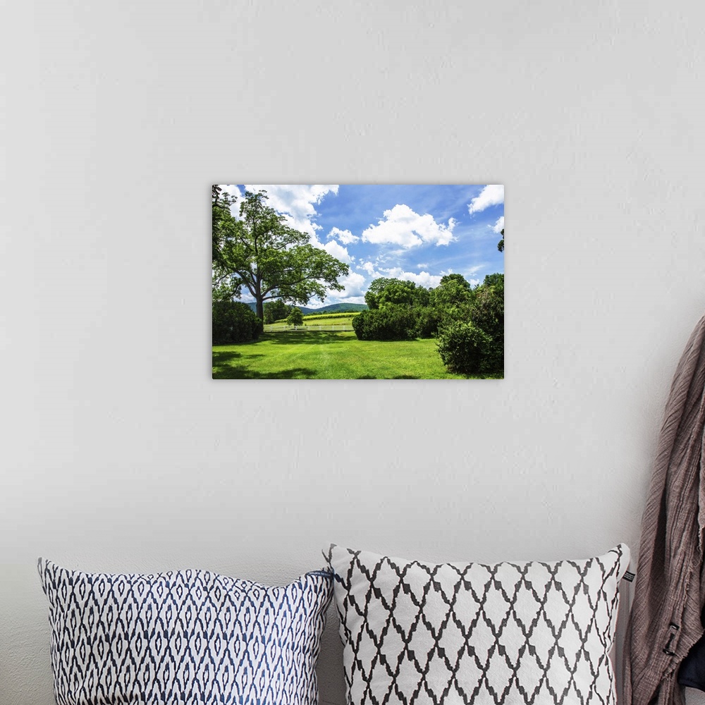 A bohemian room featuring Landscape photograph of the hilly countryside in Barboursville, VA.